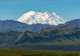 Yukon & Denali Wilderness Tour