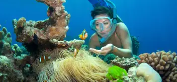 Cairns - Full Day Reef Magic Outer Great Barrier Reef
