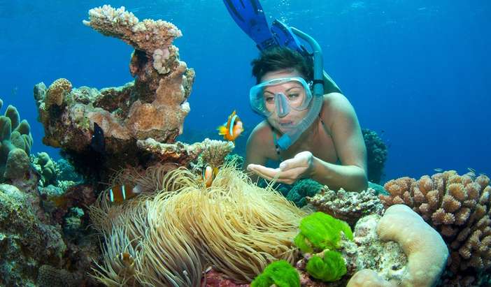 Cairns - Full Day Reef Magic Outer Great Barrier Reef