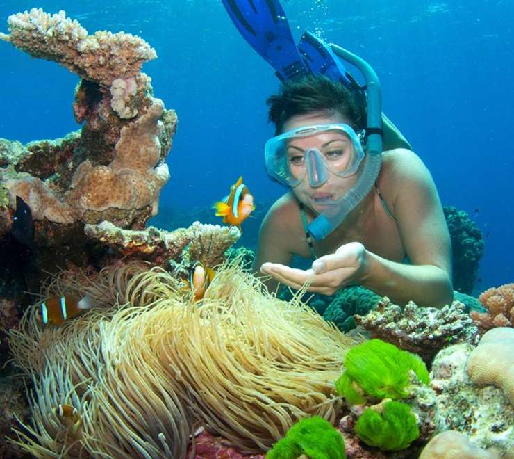 Cairns - Full Day Reef Magic Outer Great Barrier Reef