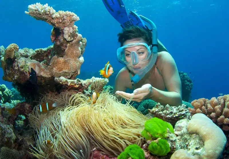 Cairns - Full Day Reef Magic Outer Great Barrier Reef
