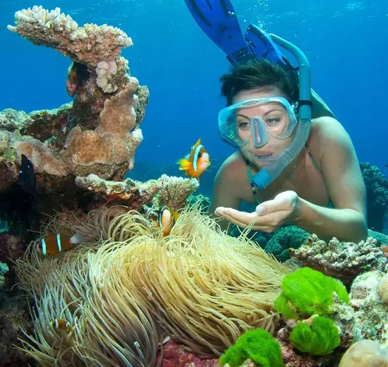 Image related to Cairns - Full Day Reef Magic Outer Great Barrier Reef