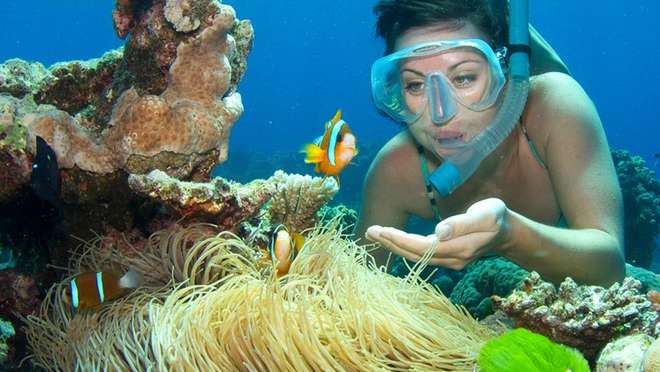 Cairns - Full Day Reef Magic Outer Great Barrier Reef