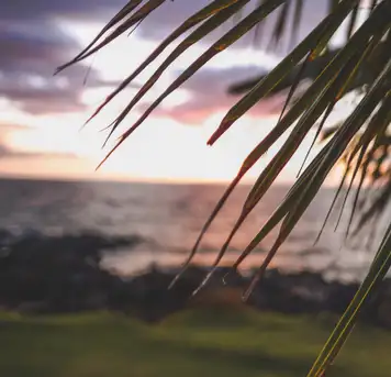 Image related to Baby Beach