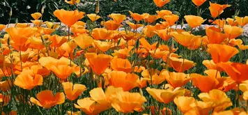 Image related to Nature Reserve 