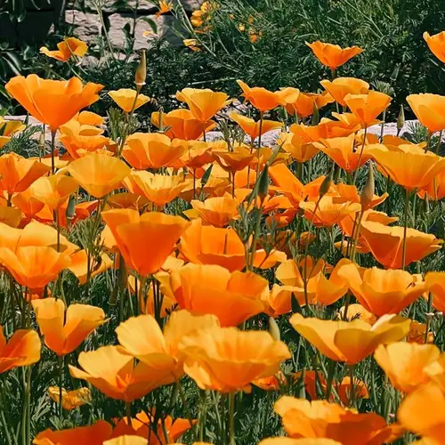 Image related to Image related to Nature Reserve 