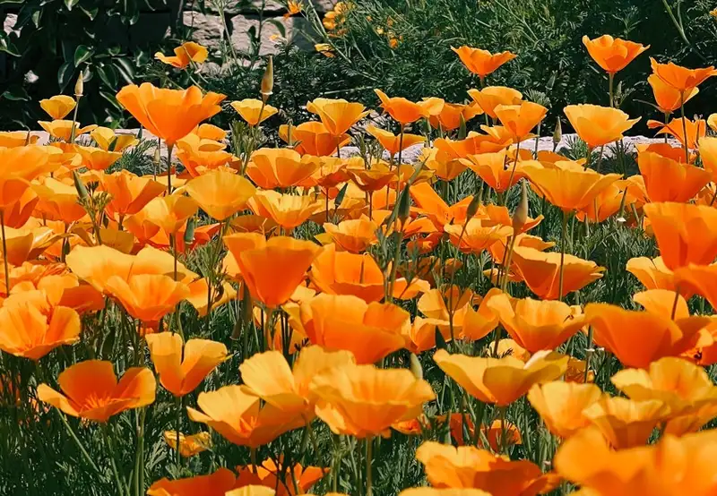 Image related to Nature Reserve 