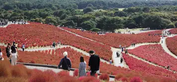 Image related to Hitachinaka, Japan