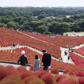 Image related to Hitachinaka, Japan