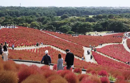 Image related to Hitachinaka, Japan