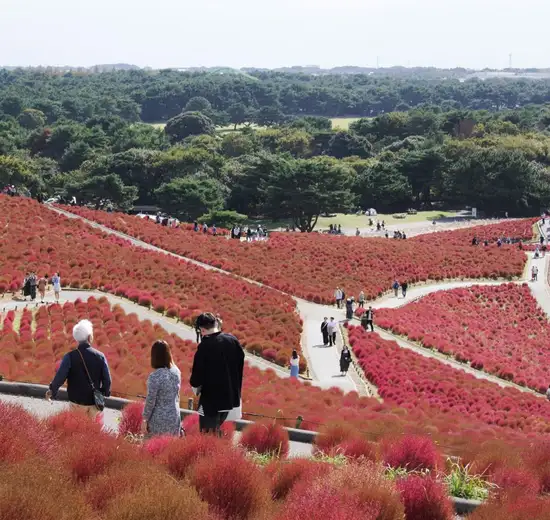 Image related to Hitachinaka, Japan