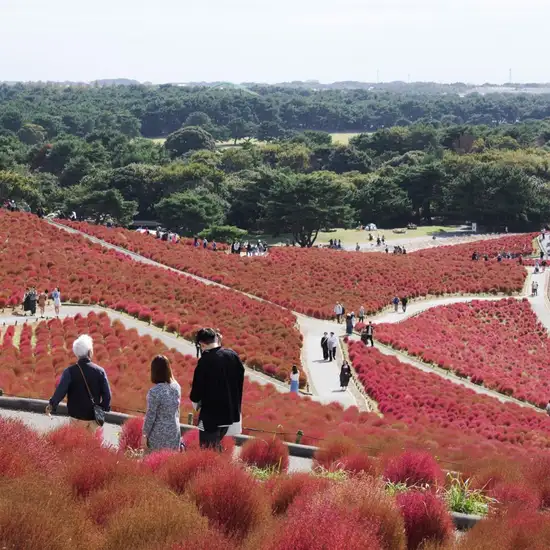 Image related to Hitachinaka, Japan