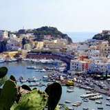 Image related to Day Trip to Palmarola