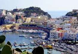 IgluCruise.Application.ViewModels.Shared.WebImageViewModel?.Description