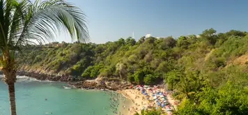 Image related to Manzanillo