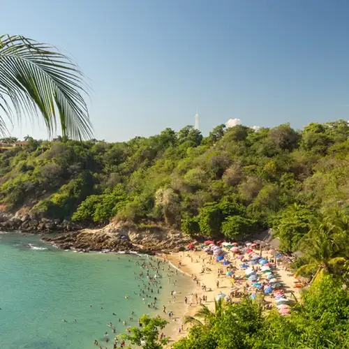 Image related to Manzanillo