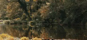 Image related to Stikine River Boat Tour