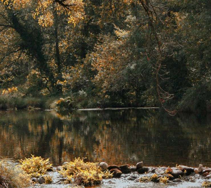 Stikine River Boat Tour