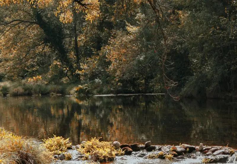 Stikine River Boat Tour