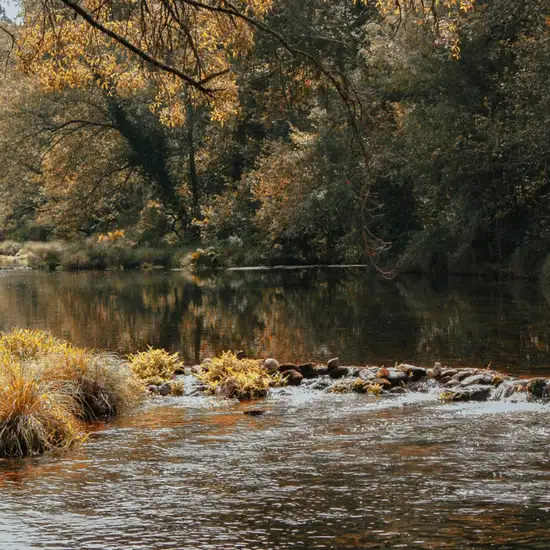 Image related to Stikine River Boat Tour