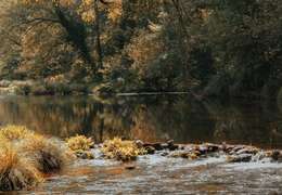 IgluCruise.Application.ViewModels.Shared.WebImageViewModel?.Description