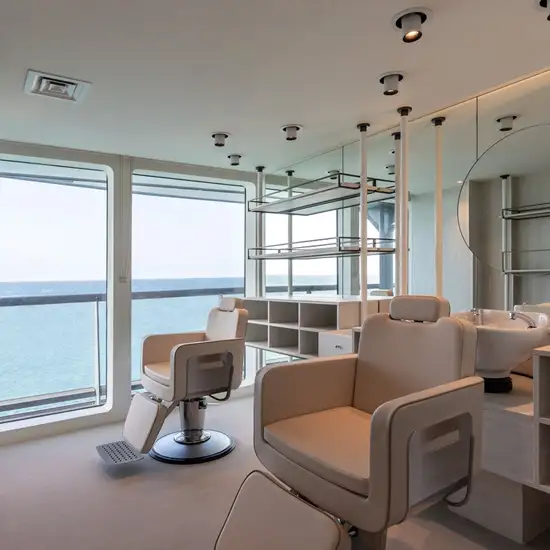 Image related to Salon