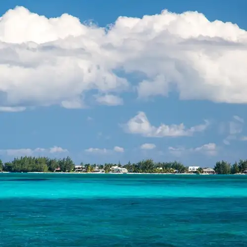 Image related to Image related to National Museum