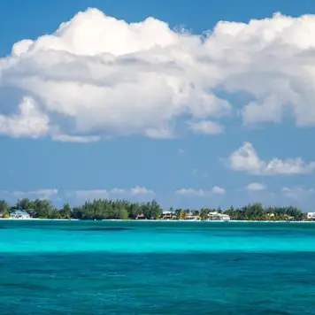 Image related to Image related to National Museum