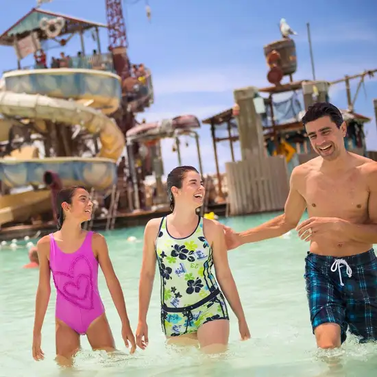 Pelican Plunge