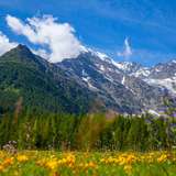 Image related to Simplon Pass