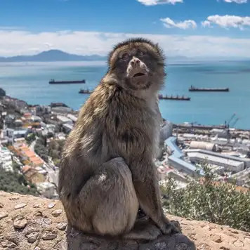 Image related to Upper Rock Nature Reserve