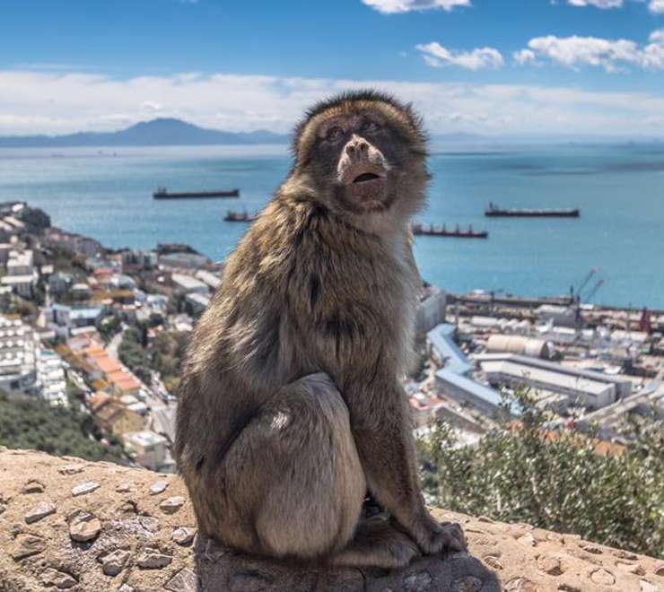 Upper Rock Nature Reserve