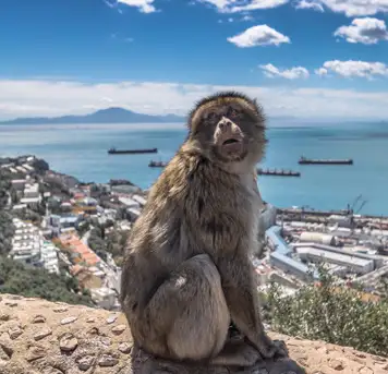 Image related to Upper Rock Nature Reserve