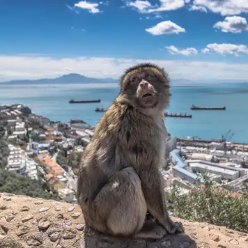 Image related to Upper Rock Nature Reserve