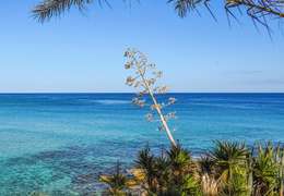 IgluCruise.Application.ViewModels.Shared.WebImageViewModel?.Description