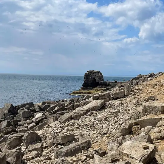 Image related to Sculpture Park 