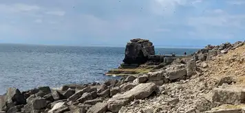 Image related to Sculpture Park 