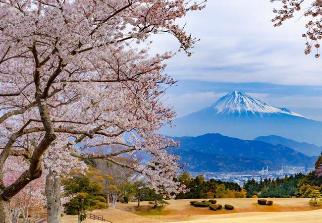 Shimizu - Spring Blossoms & Ropeway