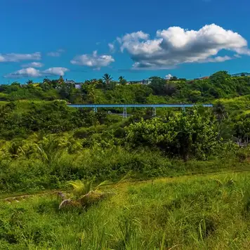 Image related to Scenic Railway