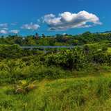 Image related to Scenic Railway