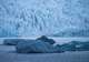 Glacier Eqi