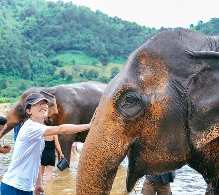 Feeding Elephants by Hand