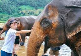 IgluCruise.Application.ViewModels.Shared.WebImageViewModel?.Description