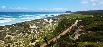 Image related to Seal Bay Conservation Park