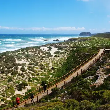 Image related to Seal Bay Conservation Park