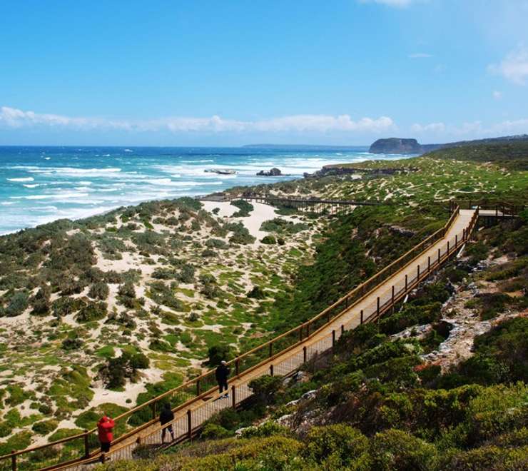 Seal Bay Conservation Park