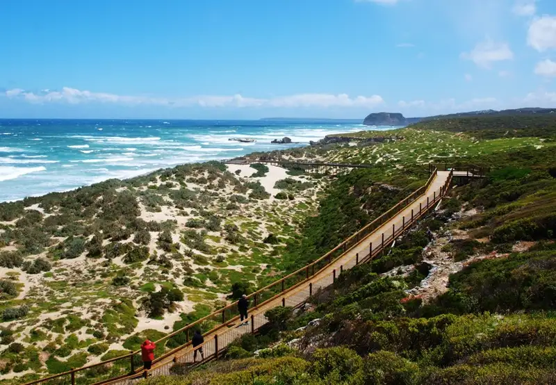 Seal Bay Conservation Park