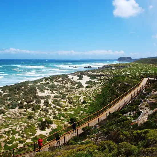 Image related to Seal Bay Conservation Park