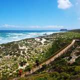 Image related to Seal Bay Conservation Park