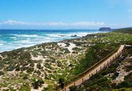 IgluCruise.Application.ViewModels.Shared.WebImageViewModel?.Description